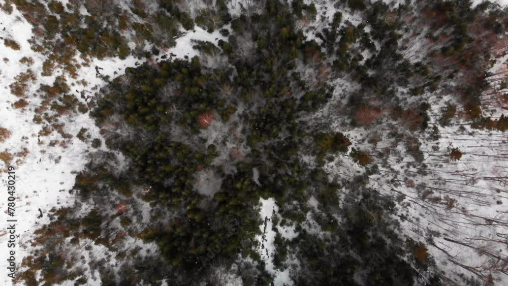 Aerial video of the field covered with trees and snow, New Hampshire Aerial video of the field covered with trees and snow, New Hampshire