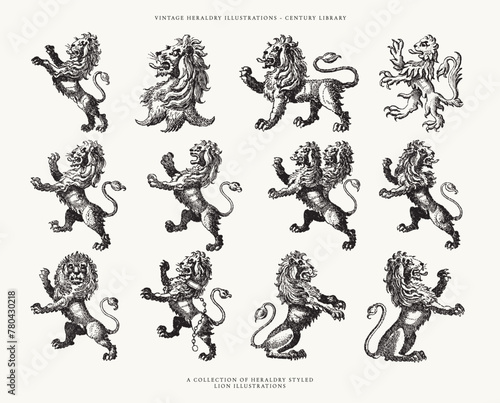 Set of Hand Drawn Heraldry Crest Lion Illustrations