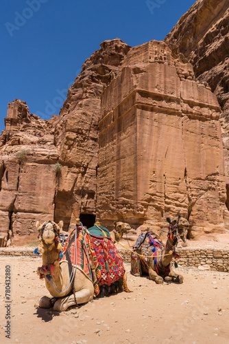 Facades street with dromedaries, Petra, Jordan