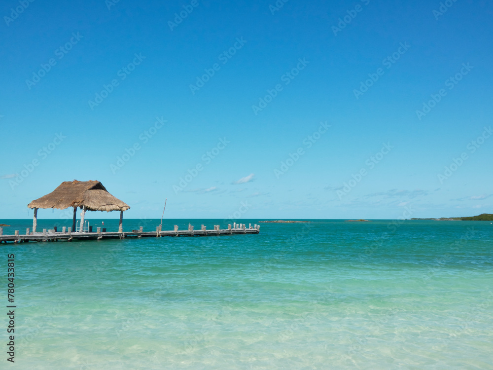 Wooden pier on a paradisiacal and lonely beach which is covered with straw