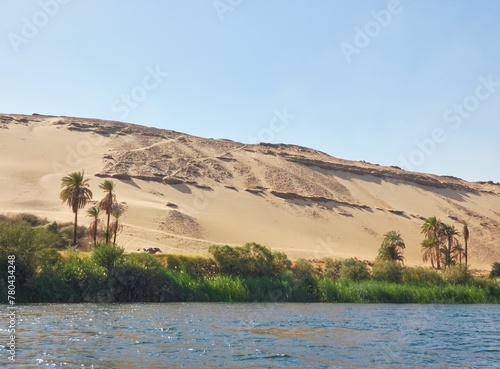 Nature scene with a Nile river in the desert surrounded by palm trees and green grass in Egypt