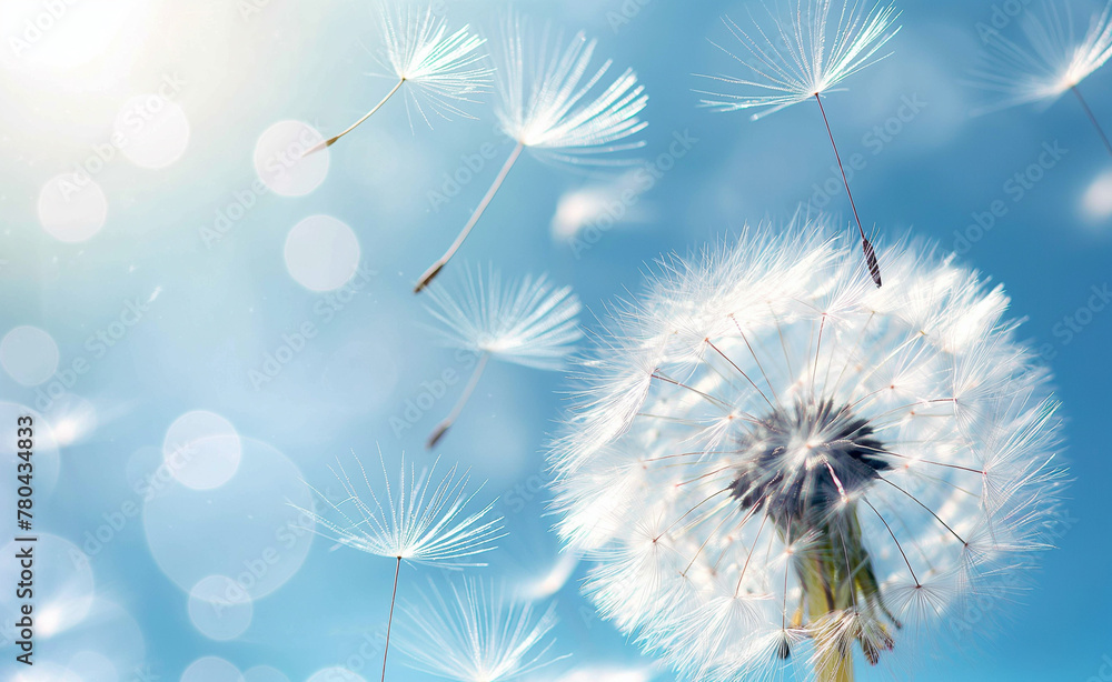 Dreamy Dandelion: A Close-Up Portrait with Soft Focus Background