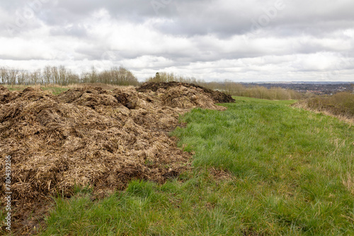 pile of animal manure on the side of field, to be used as a fertilizer, farming concept