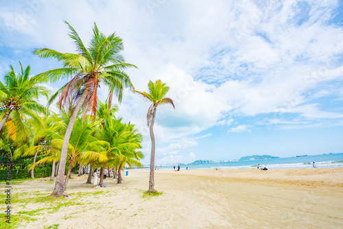 Coconut forest beach scenery at Coconut Dream Corridor in Sanya  Hainan  China