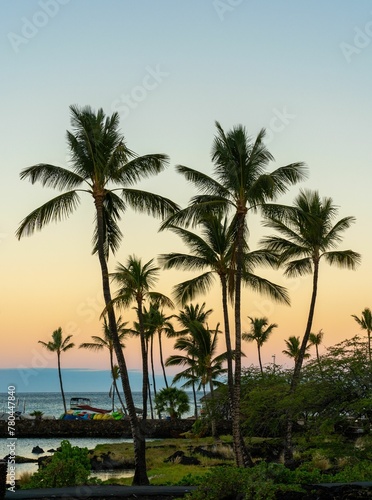 Vertical shot of tall palm trees on a beach at sunset © Wirestock