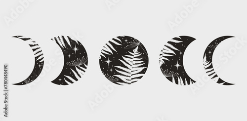 Black floral moon phase vector illustration. Crescent and floral moon vintage logo design.