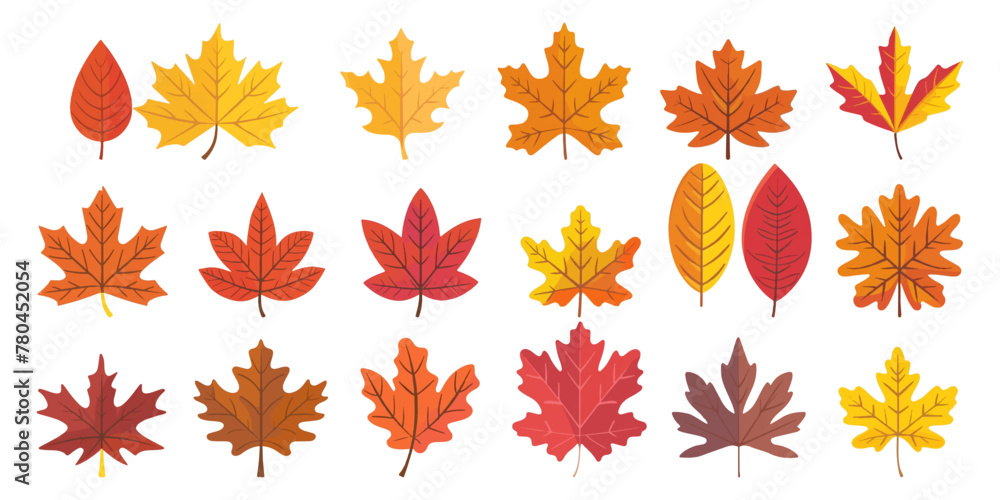 A set of autumn leaves in the style of flat design isolated on a white background A set of autumn leaves in the style of flat design isolated on a white background