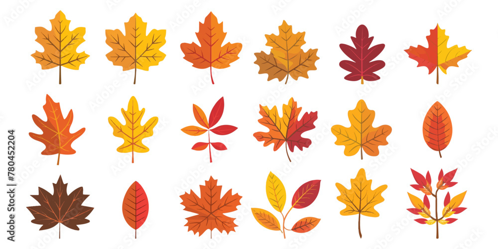 A set of autumn leaves in the style of flat design isolated on a white background A set of autumn leaves in the style of flat design isolated on a white background