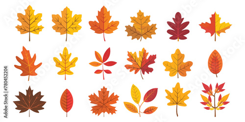 A set of autumn leaves in the style of flat design isolated on a white background