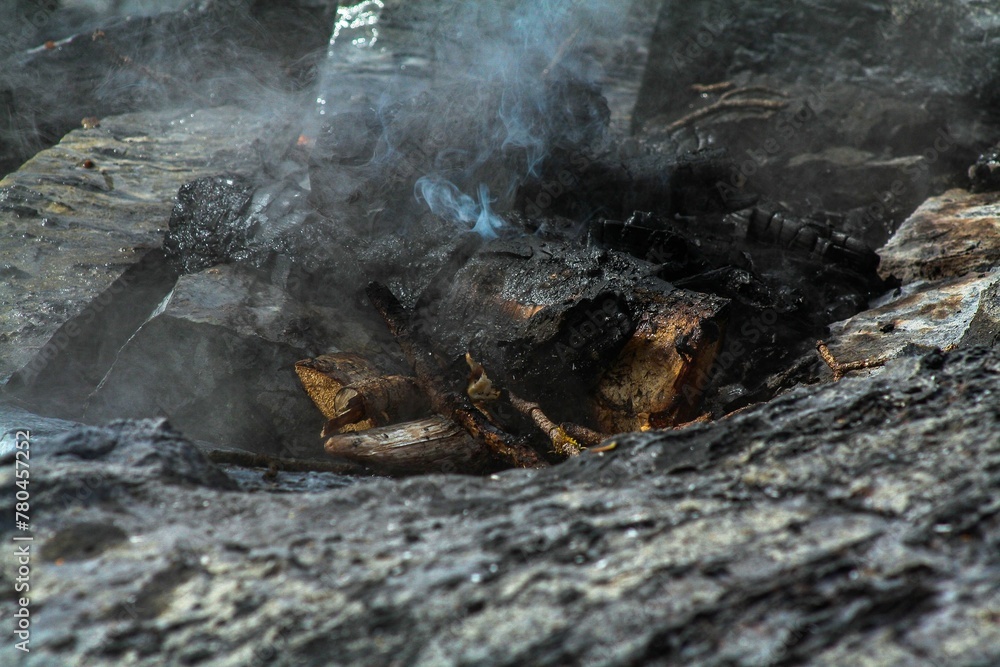 a person cooking something outside of a fire in a forest