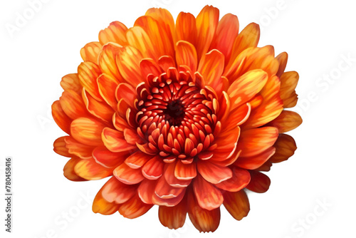 Top view of single orange flower isolated on transparent background. Generative AI