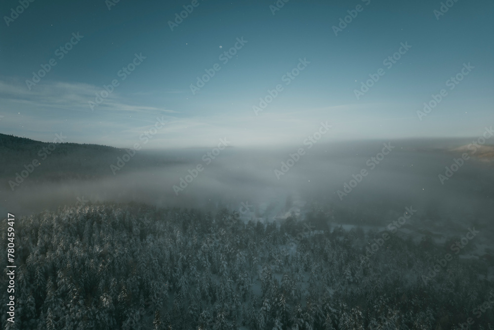 Snow covered trees in forest under foggy weather at sunrise during winter Snow covered trees in forest under foggy weather at sunrise during winter