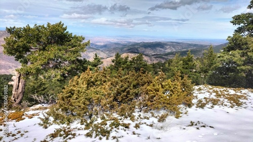 Landscape of snowy mountains with lakes around and plant sprouts, snowy trees and frost