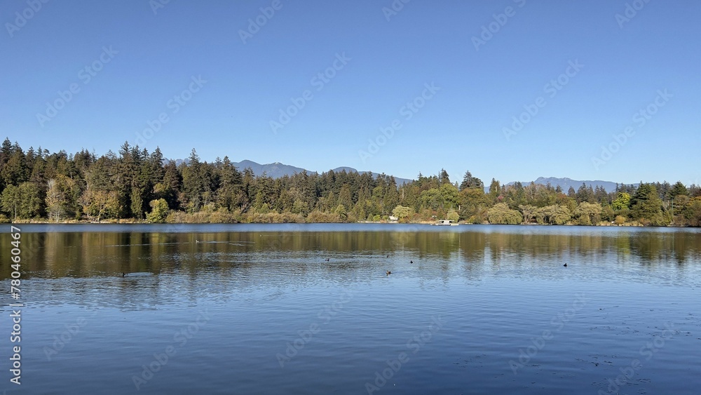 Beautiful view of the lake near the forest in Vancouver, Canada Beautiful view of the lake near the forest in Vancouver, Canada
