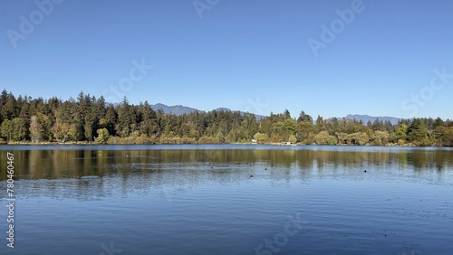 Beautiful view of the lake near the forest in Vancouver, Canada
