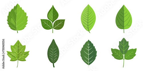 set illustration of green leaf icon isolated on white background © EnelEva