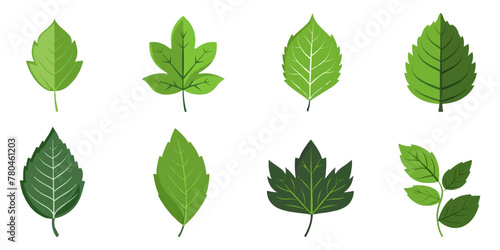 set illustration of green leaf icon isolated on white background