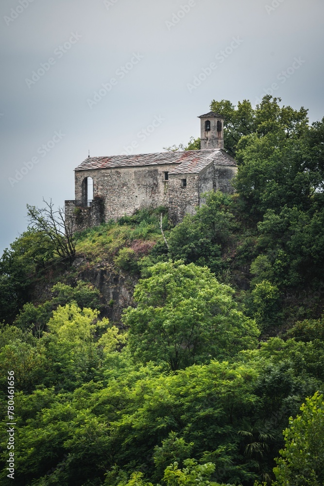 Vertical shot of green trees and old harbor building near Maggiore lake, Lombardy, Italy