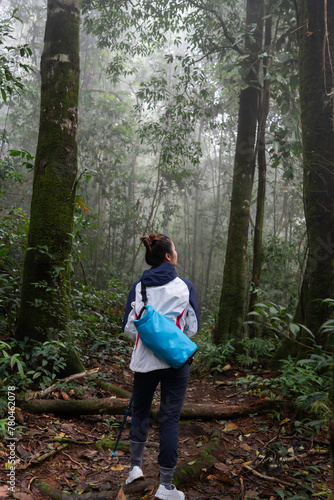 Woman Hikers Admiring and Forest walk and camping adventures