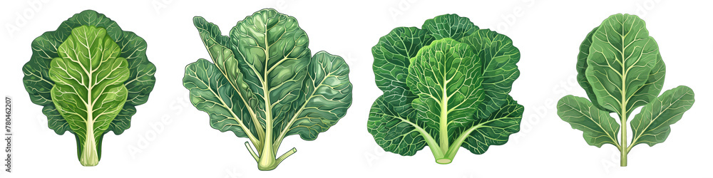 Collard Greens  2d Icon In Water Colour Hyperrealistic Highly Detailed Isolated On Transparent Background Png - obrazy, fototapety, plakaty 