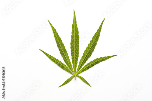 Cannabis leaf isolated in white background photo