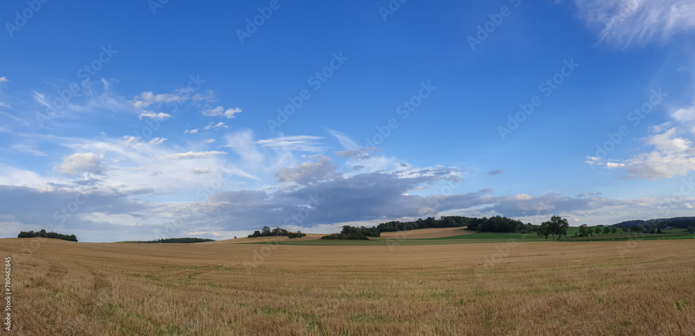 Panoramic view of a cultivated field under a cloudy sky