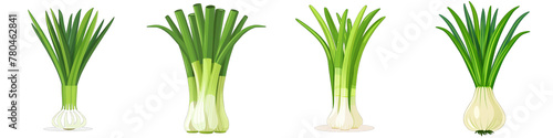 Leeks  2d Icon In Water Colour Hyperrealistic Highly Detailed Isolated On Transparent Background Png