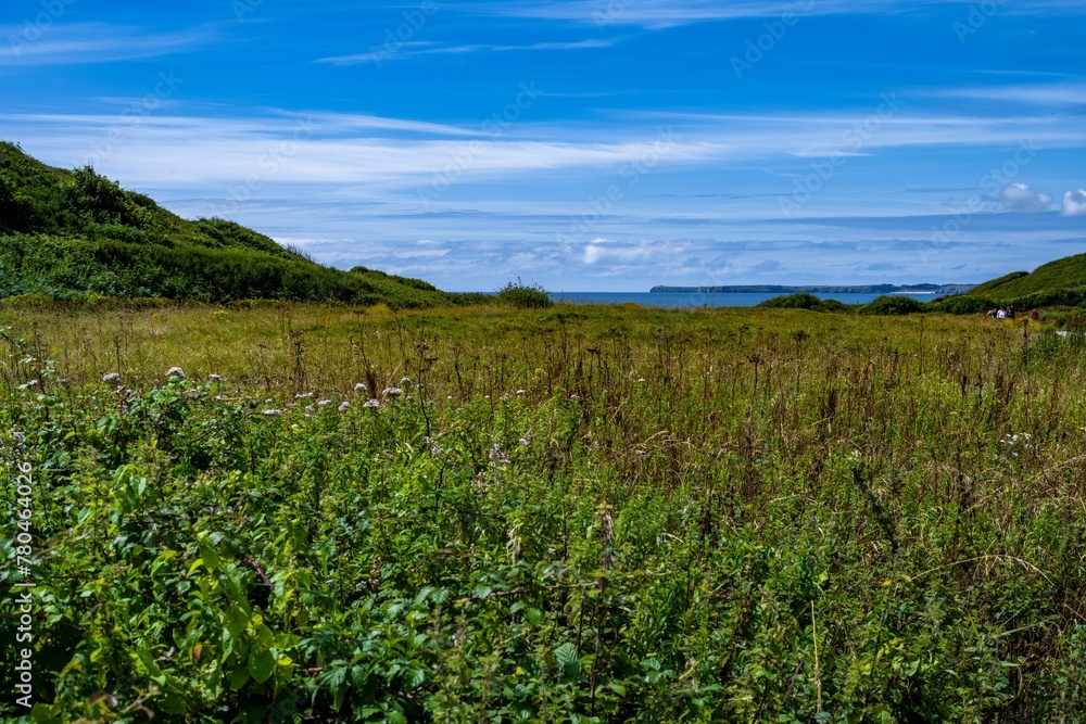 Shot of a green grass field surrounded by hills and ocean in the background on a sunny day