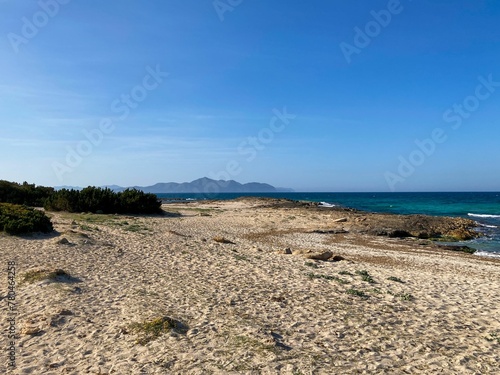 Sandy beach with green plants beside mountains in the distance in the Balearic Islands