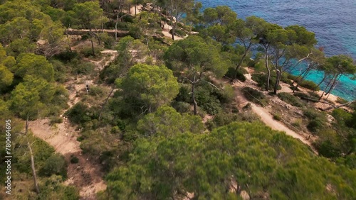 Aerial view of lush pine forest in Cala Mondrago, Mallorca. photo