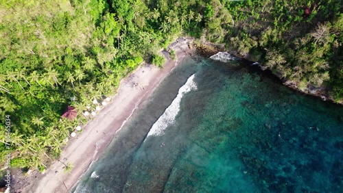 Palm Trees And Forest On Coast Of Gamat Bay - Snorkeling Destination In Nusa Penida, Bali, Indonesia. aerial shot photo