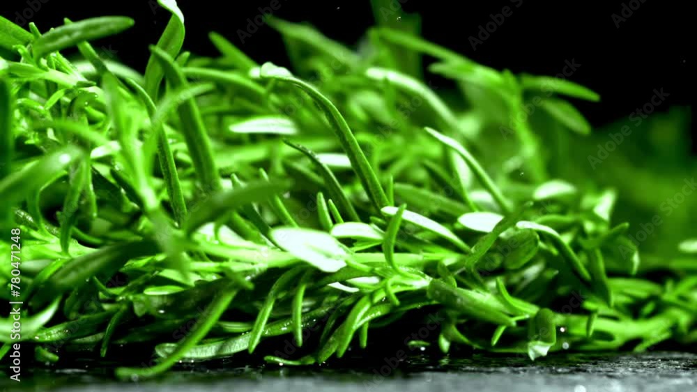 Super slow motion branches of rosemary . High quality FullHD footage Super slow motion branches of rosemary . High quality FullHD footage