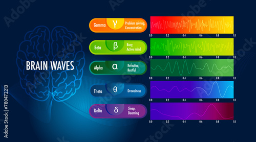 measures brain waves of different frequencies within the brain infographic