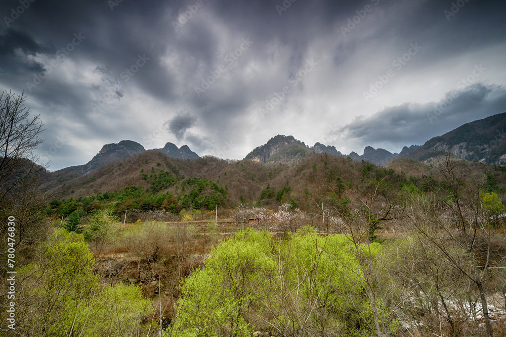 Obraz premium landscape with sky and clouds