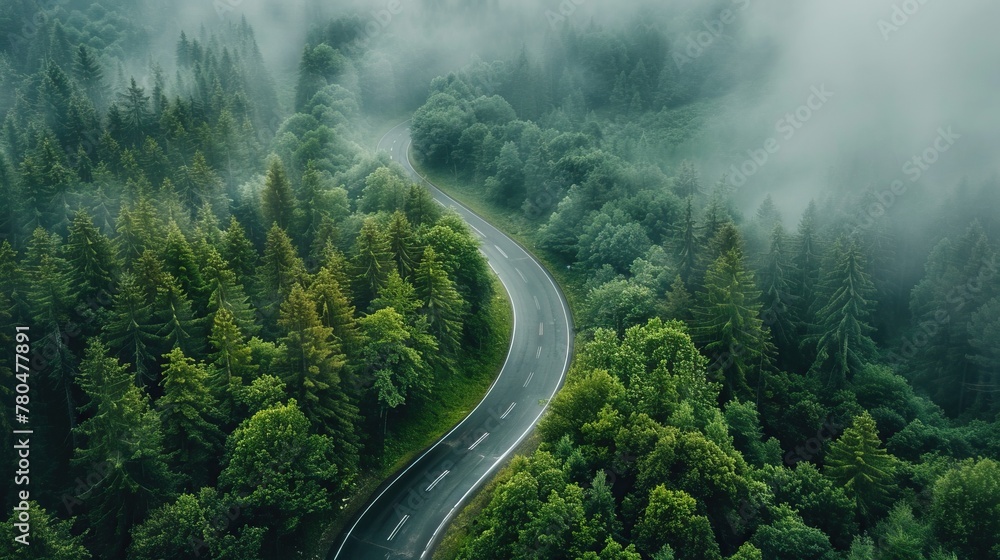 Climate experts discussing road emissions and their impact on the environment.