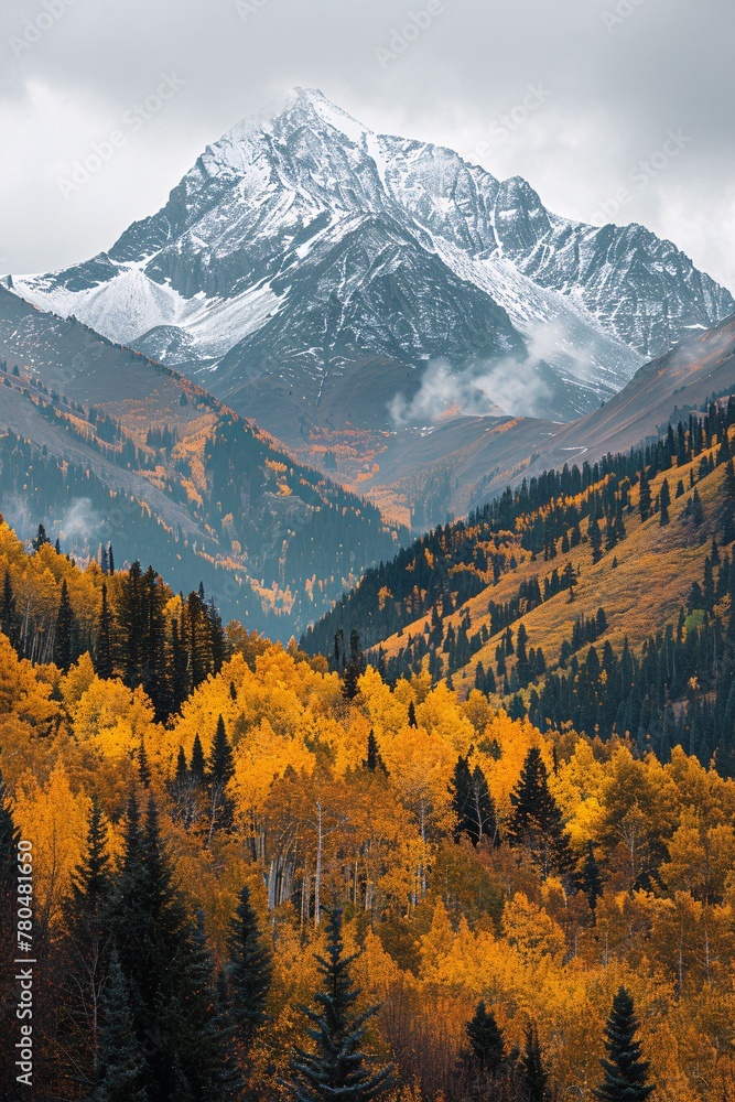 a mountain range with trees and snow covered mountains
