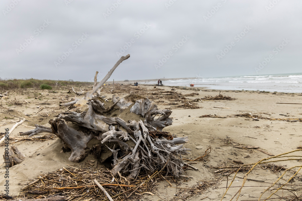 nature reserve beach of island Pellestrina in Venice lagoon (Spiaggia di Ca' Roman)