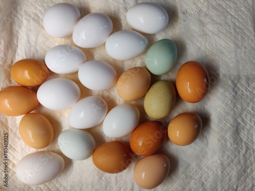 uova di gallina photo