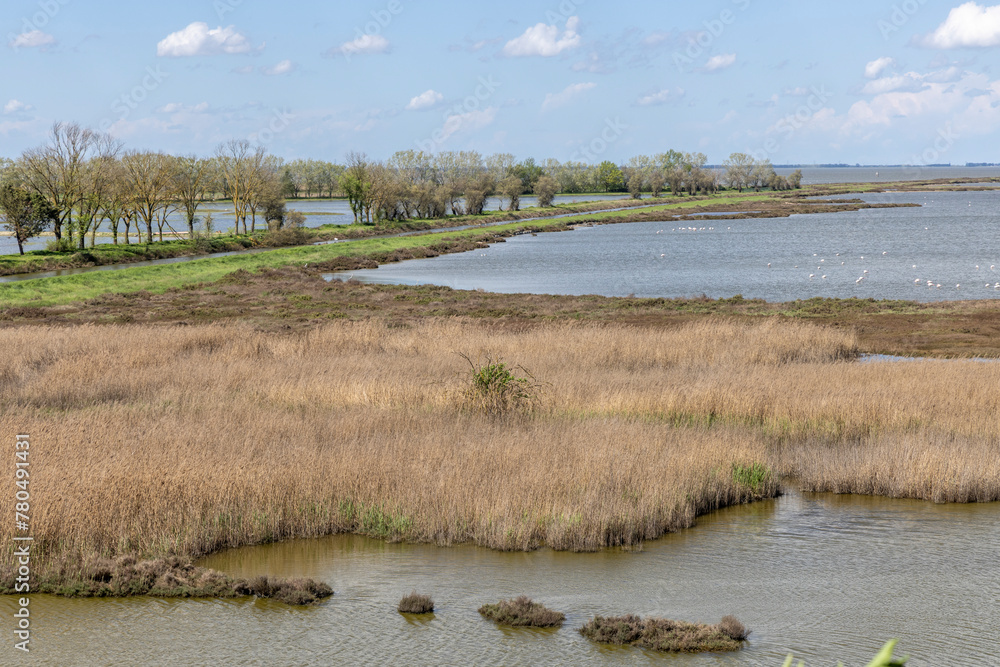 Landscape protection area named Valli di Comacchio in Italy, Europe