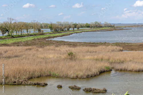 Obraz na płótnie Landscape protection area named Valli di Comacchio in Italy, Europe w salonie