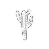 hand-drawn cactus drawing in doodle style. Vector Illustration. cacti with flower. isolated on white