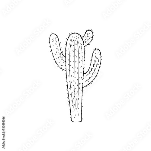 hand-drawn cactus drawing in doodle style. Vector Illustration. cacti with flower. isolated on white