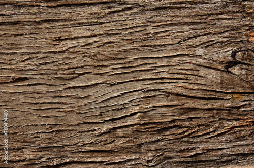 Horizontal or vertical natural background with tree bark texture. Close-up tree trunk texture of brown color