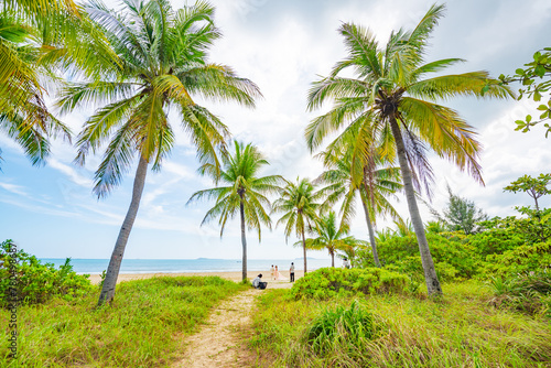 Coconut forest beach scenery at Coconut Dream Corridor in Sanya, Hainan, China © hu