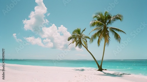 Beach and palm trees