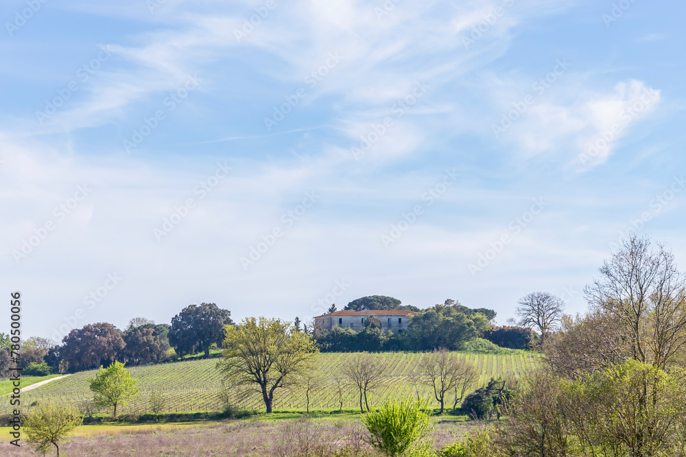 Fototapeta premium An abandoned farmhouse in the Tuscan countryside, Fauglia, Italy