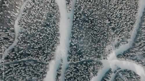 A winter tapestry unfolds in this drone capture of a snowy landscape, where serpentine trails meander through dense, snow-laden pines, Areh, Pohorje, Slovenija photo