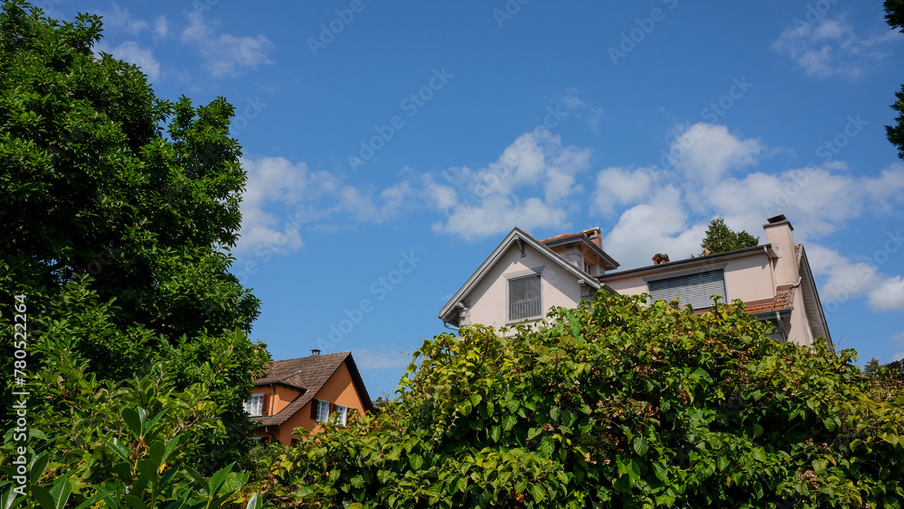 Houses with trees in a village