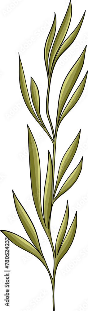 Forest plant, naturalistic botanical illustration Forest plant, naturalistic botanical illustration