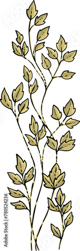 Forest plant, naturalistic botanical illustration